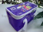 Ice box,insulated bag,cooler bag